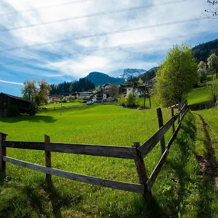 Lovely In Next To Forest * Hainzenberg