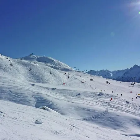 Lovely In Next To Forest