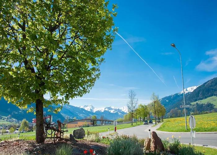 Lovely In Next To Forest * Hainzenberg