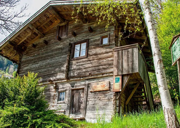 Lovely In Next To Forest * Hainzenberg