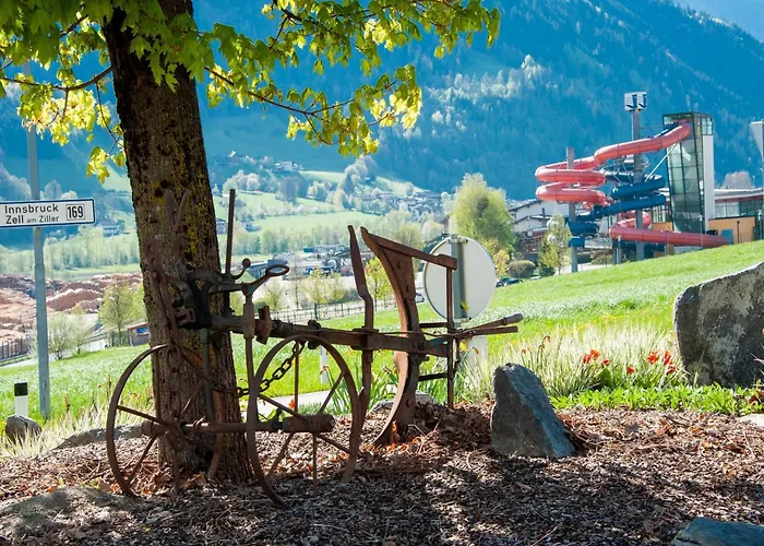 Lovely In Next To Forest