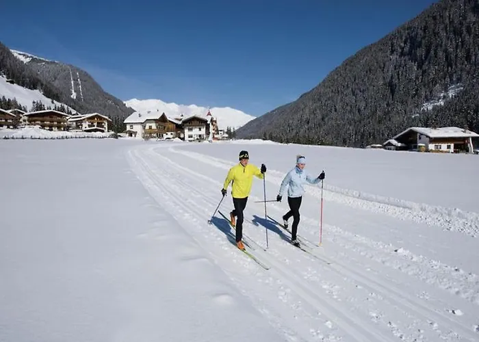 Lovely In Next To Forest *