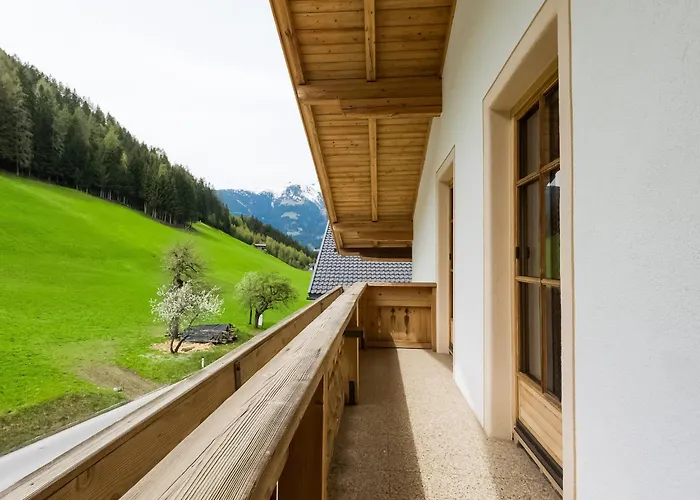 Lovely In Next To Forest