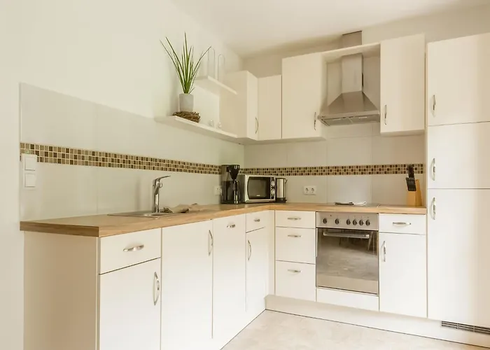 Lovely In Next To Forest *