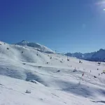 Lovely In Next To Forest