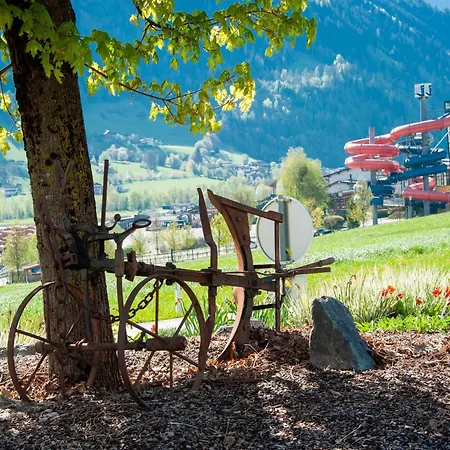 Lovely In Next To Forest