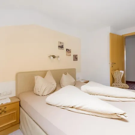 Lovely In Next To Forest