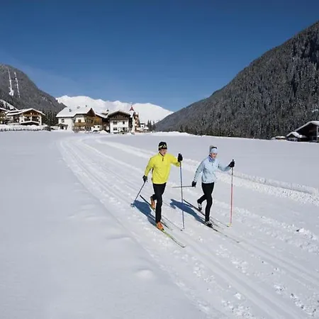 Lovely In Next To Forest *