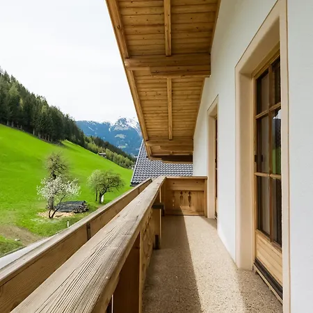 Lovely In Next To Forest