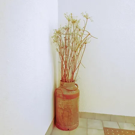 Διαμέρισμα Lovely In Next To Forest