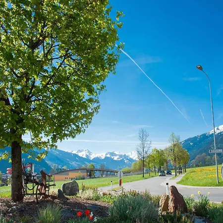 Lovely In Next To Forest * Hainzenberg