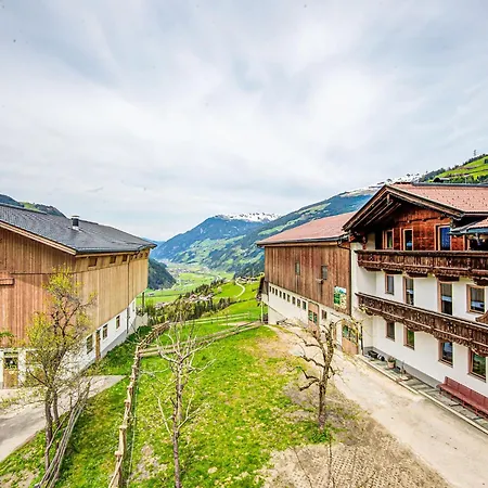 Lovely In Next To Forest *